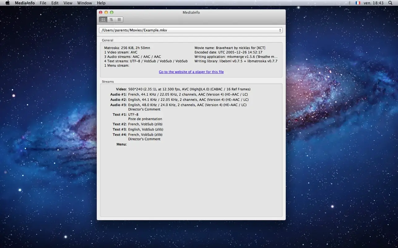 MediaInfo screenshot 1