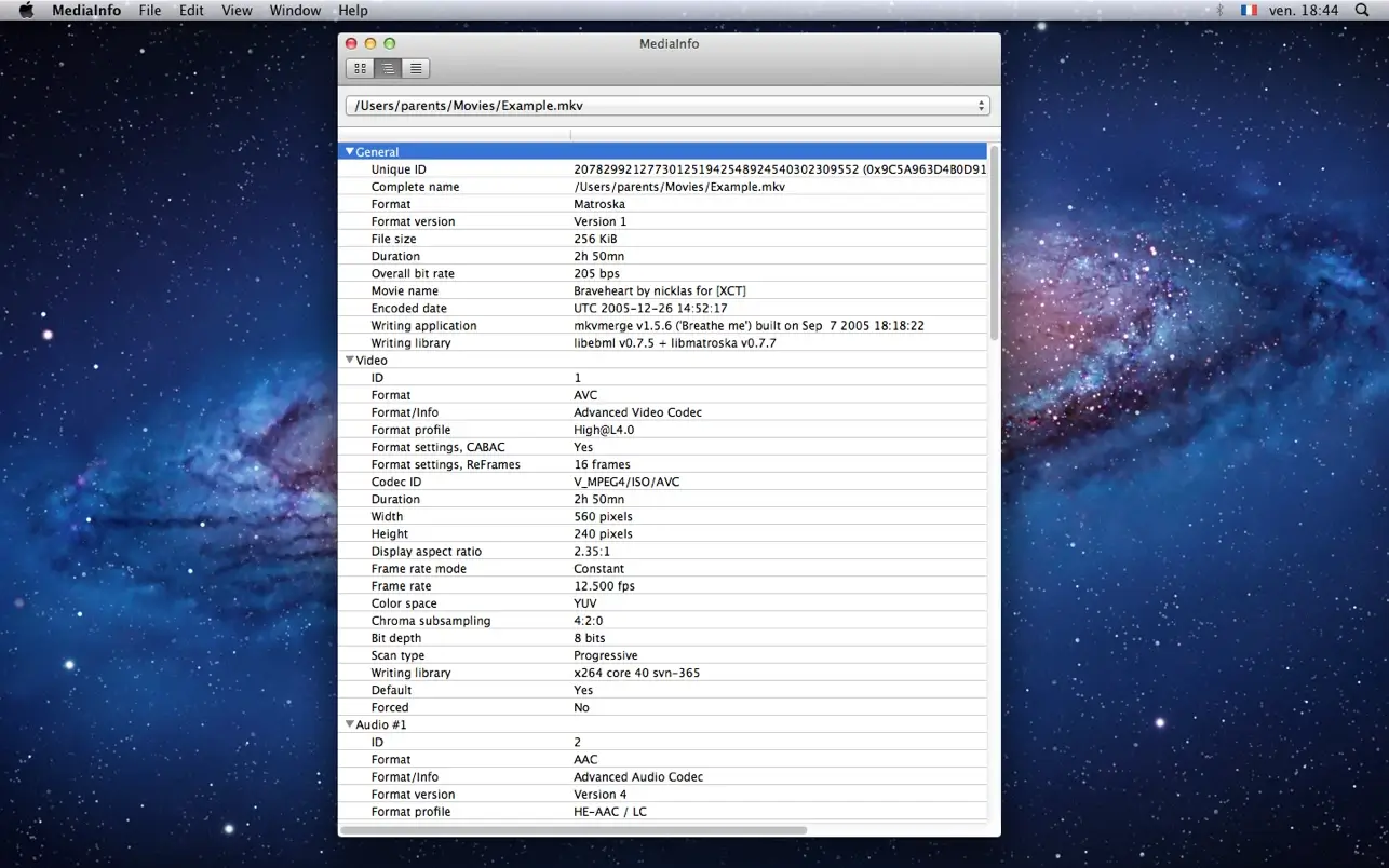MediaInfo screenshot 2