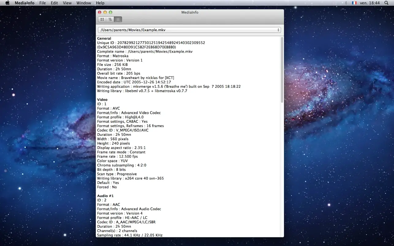MediaInfo screenshot 3